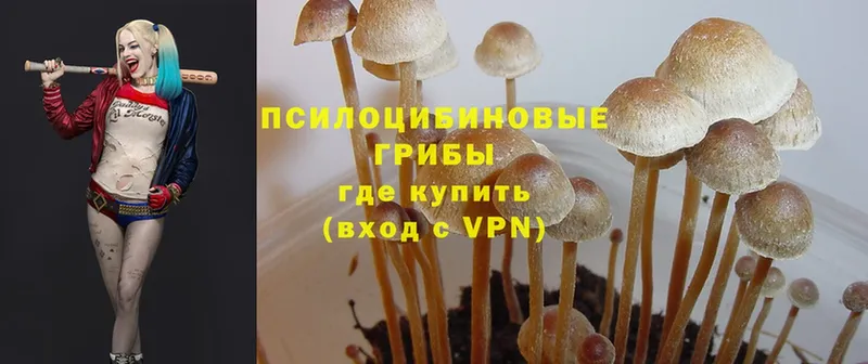 MEGA зеркало  Кинешма  Галлюциногенные грибы Magic Shrooms 